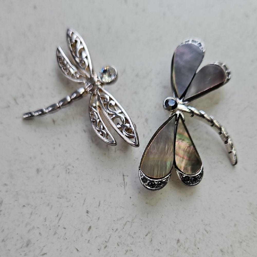 Silver Dragonfly Brooch Set